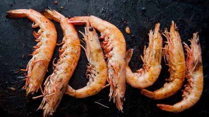 Camarones Calibre - Image 7